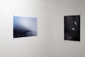 Chris Drange, Christoph David Drange, Shape Shifter, Aviator, Phantom, Crash Installation view, Photo Bastei, exhibition